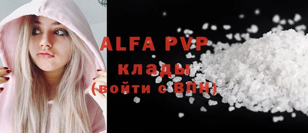 молекула духа Алексин