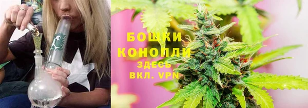 молекула духа Алексин