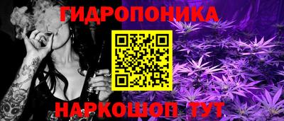 мяу мяу мука Дубна