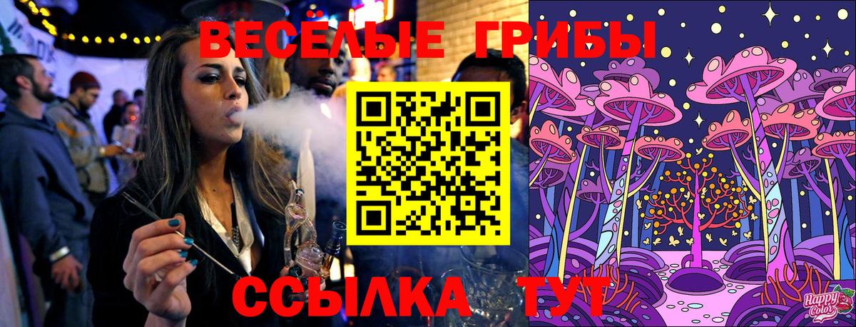 как найти закладки  Псилоцибиновые грибы мицелий  Вход с VPN  Лесосибирск 